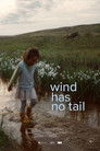 Wind Has No Tail