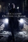 Постер: The Last Witch Hunter
