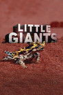 Plakat for 'Little Giants'