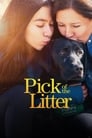 Pick of the Litter Episode Rating Graph poster