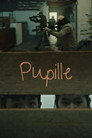 Pupille