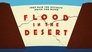 Flood in the Desert