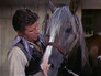 The Big Valley 4x12