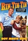 Katts and Dog Episode Rating Graph poster