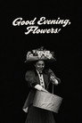 Good Evening, Flowers!