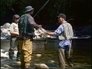 Poachers