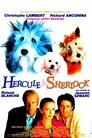 Hercule & Sherlock poster