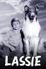 Lassie Episode Rating Graph poster