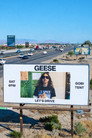 Geese Live at Coachella 2026 - Weekend 1