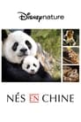 Nés en Chine