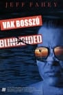 Movie poster for Blindsided