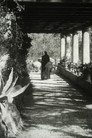 The Servant