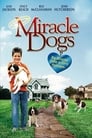 Movie poster for Miracle Dogs