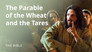 Matthew 13 | Parables of Jesus: The Parable of the Wheat and the Tares