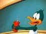 Toon Physics