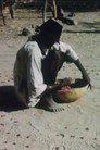 Foulina