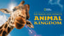 Au c?ur de Disney's Animal Kingdom en Streaming gratuit sans limite | YouWatch Séries poster .7