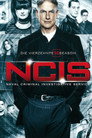 Staffel 14
