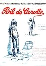 Poil de carotte