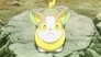Image Pokémon