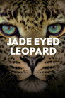 Jade Eyed Leopard