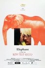 Elephant Poster
