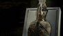 Egypt's Animal Mummies: The Dark Truth