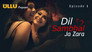 Dil Sambhal Ja Zara P01E01