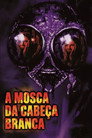 Poster de A Mosca da Cabeça Branca