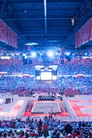 The Joe
