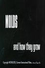 Molds and How They Grow