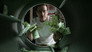 2008 - Breaking Bad thumb