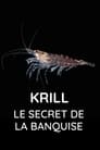 Krill : le secret de la banquise