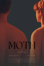 Moth
