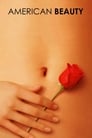 Movie poster for American Beauty