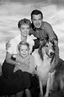 Lassie Episode Rating Graph poster