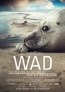 La mer des Wadden - Vivre au rythme des marées