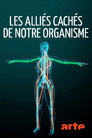 Fascinating Fasciae: The Hidden World Under Our Skin