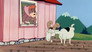 Gettin' Paw's Goat