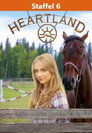Staffel 6