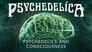 Psychedelics and Consciousness