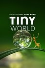 Plakat for 'Tiny World'