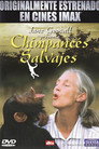 Imax - Chimpances Salvajes（2002）｜オンラインで映画を視聴