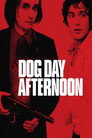 Dog Day Afternoon