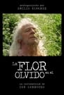 La flor en el olvido