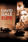 The Life of David Gale