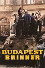 Budapest brinner