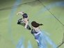 Image Naruto (2002) Temporada 1 HD 1080p Latino