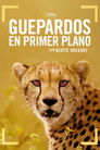 Guepardos en primer plano con Bertie Gregory Cuevana 3