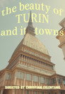 the beauty of turin and its towns